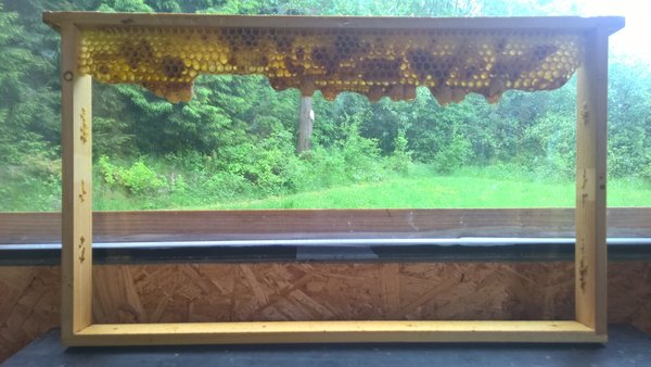WP_20160520_17_11_25_Pro.jpg