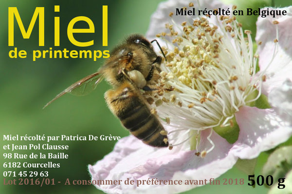 Miel printemps 2016-V2.jpg