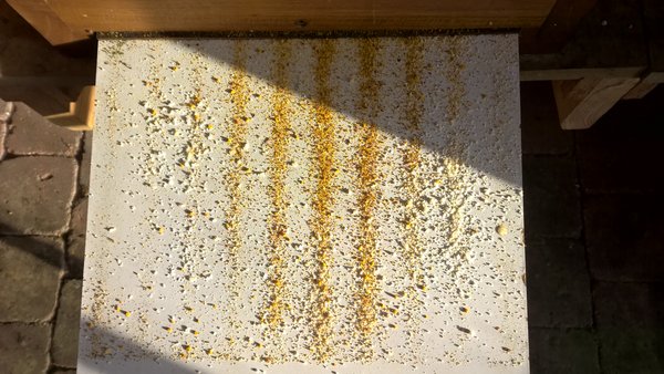 WP_20170312_17_10_26_Pro.jpg