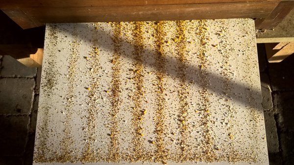 WP_20170312_17_10_49_Pro.jpg